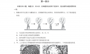 北京西城区2022年高三上学期期末生物试题及答案