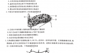 北京东城区2022年高三上学期期末生物试题